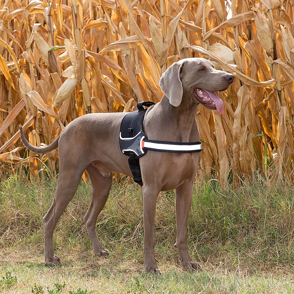 Ferplast pettorina Hercules L in nylon per cani, rossa - foto 3