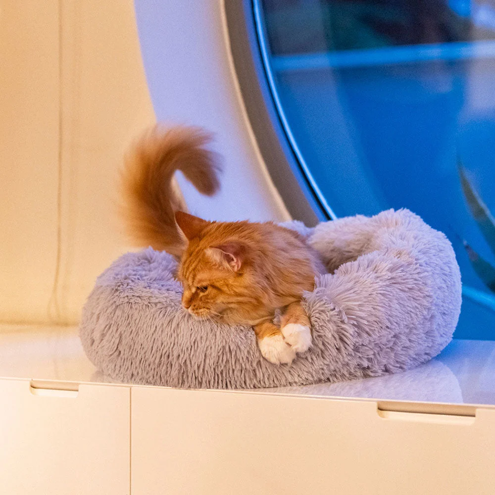 Ferplast Cuscino a ciambella Cuddly in peluche per cani e gatti