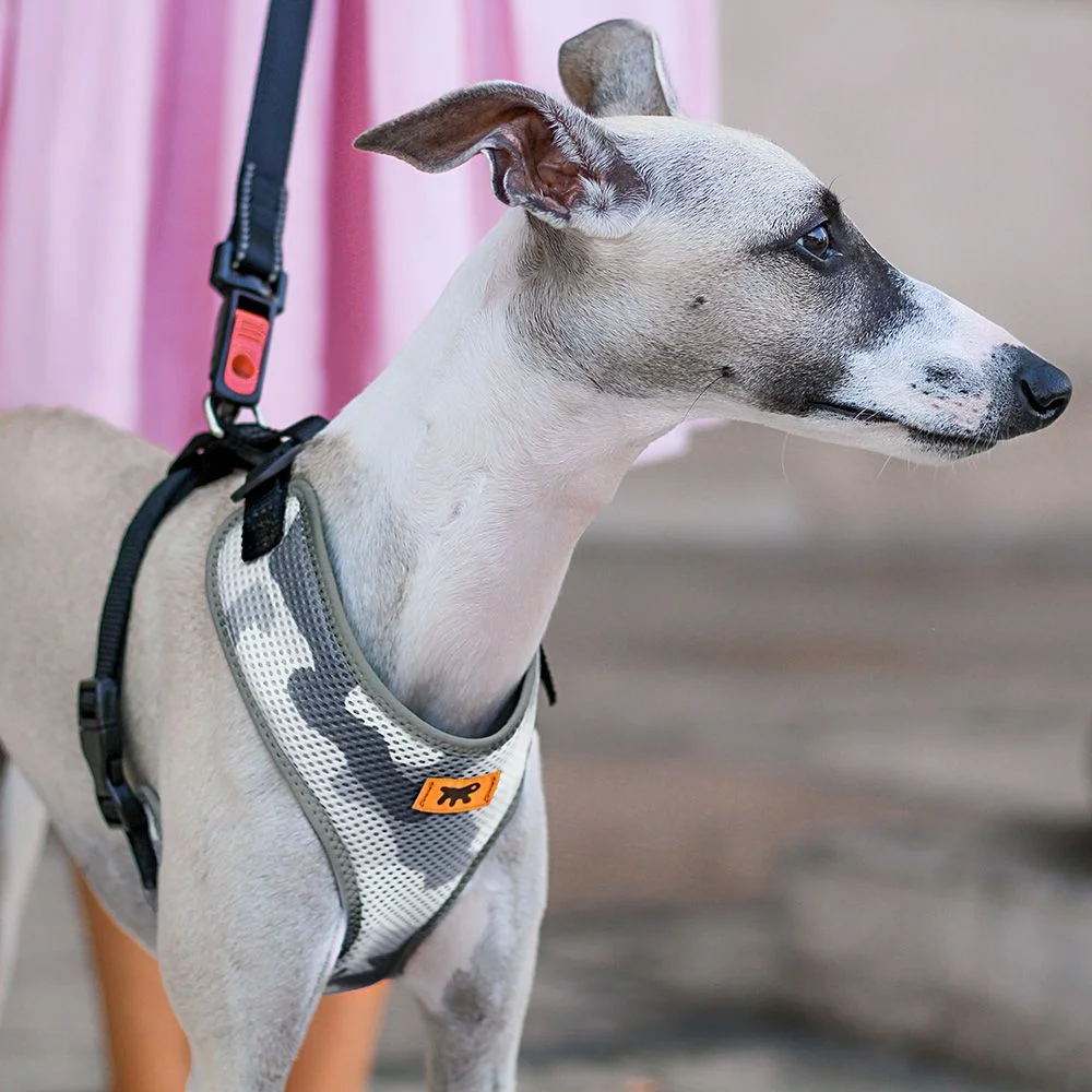 Ferplast pettorina Nikita Fashion in nylon per cani e gatti - foto 4