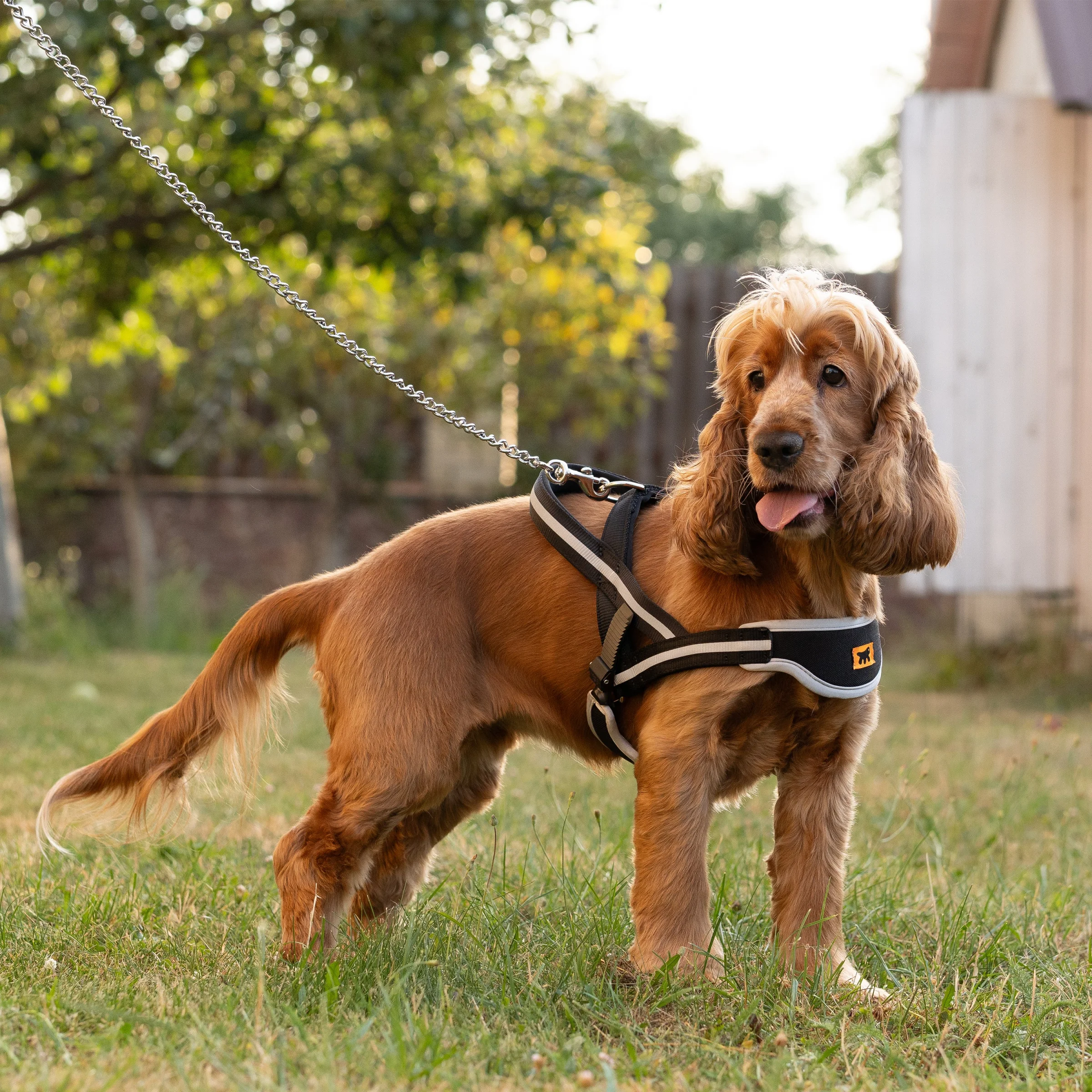 Ferplast Ergocomfort Nordic pettorina in nylon per cani - foto 4