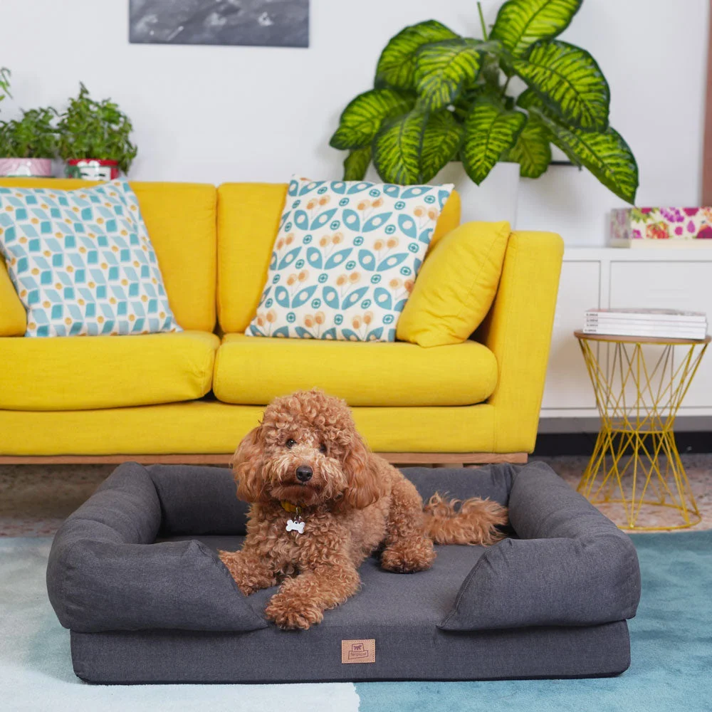 Ferplast cuccia Memor-One in cotone per cani - foto 4