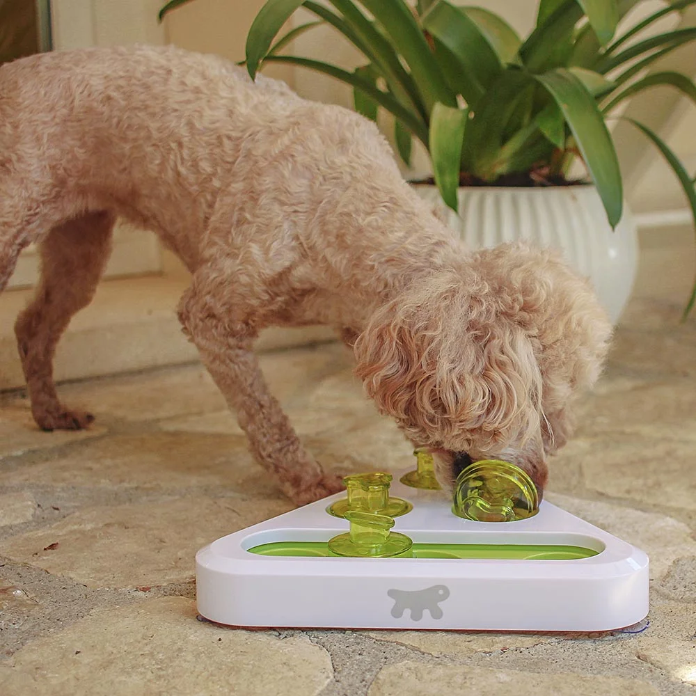 Ferplast gioco portacrocchette Trea in plastica per cani - foto 3