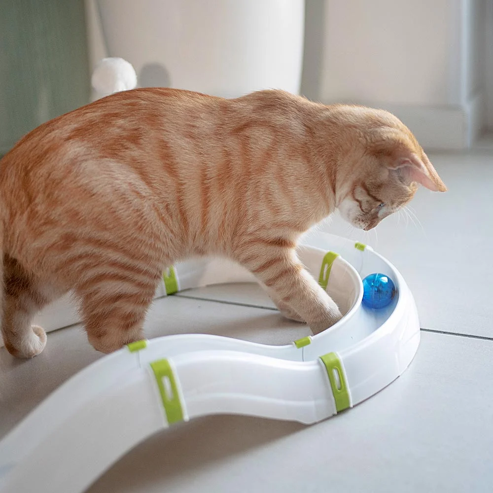 Ferplast gioco Labyrinth per gatti - foto 4