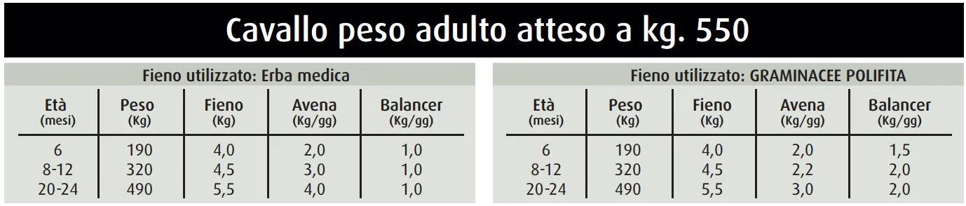 Purina Horse Selection BALANCER - Supplemento nutrizionale per cavalli - Kg.25 - Foto 2