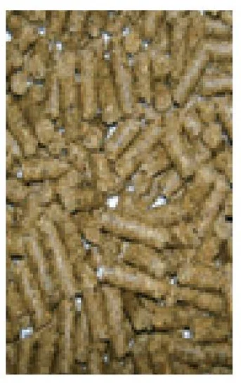 Purina Horse Selection REINING - Alimento per monta western cavalli - Kg.25 - Foto 2