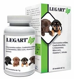 Aurora Biofarma Gainte Legart Up 60 compresse