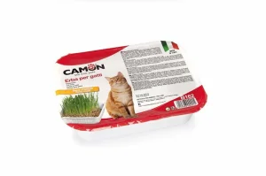 Camon Erba Gatto con Semi di Orzo - Snack Naturale per Gatti