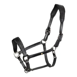 Cavezza in cuoio con piping glitterato - Equestro