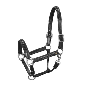 Cavezza in cuoio morbido con fibbie satinate Equestro