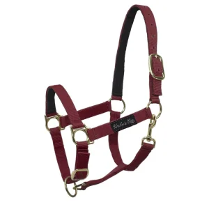 Cavezza in nylon con rinforzi in pelle - Umbria Equitazione