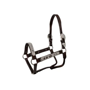 Cavezza Pool's Argenti ELHT/00935