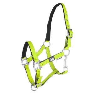 Cavezza Puledro Imbottita Soft Touch Supreme