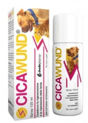 Cicawund Spray 125ml - ShedirPharma