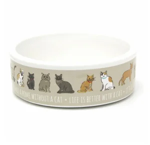 Ciotola in ceramica per gatto - 12 cm