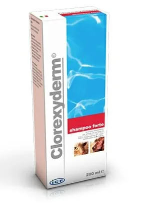 CLOREXYDERM SHAMPO FORTE LT 5 - ICF;GAIGIE