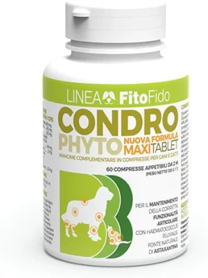 Condrophyto Maxi Tablet 60 x Gr 2 - Trebifarma