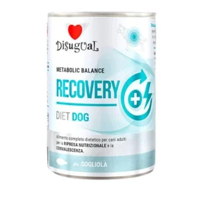 Disigual Dog Diet Recovery 400g - Sogliola