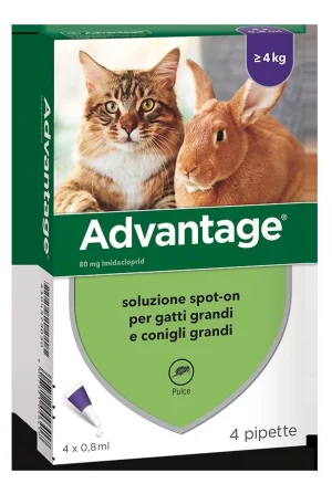 Elanco Advantage 80 per gatti - Antiparassitario