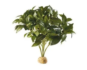 Exo Terra Laurel Bush, Pianta artificiale della Foresta Pluviale
