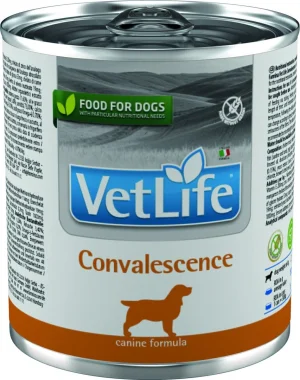 Farmina Vet Life Dog Convalescence 300g - Mangime Dietetico