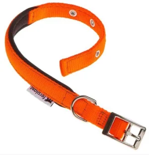 Ferplast Collare Daytona C20/43 Arancio per Cani