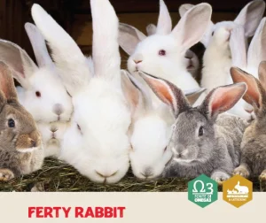 Ferty rabbit per conigli riproduttori 25 kg