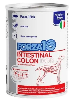 Forza10 Intestinal Colon Cane 390 g - Umido
