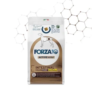 Forza 10 Intestinal Colon Fase I Agnello e Sorgo 1,5 kg