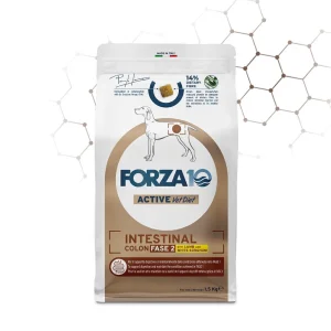 Forza10 Intestinal Colon Fase II Agnello/Sorgo 1,5 kg