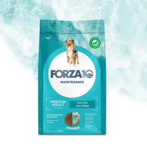 Forza 10 Maintenance Medium al Pesce 12 kg