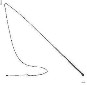 Frusta Allenamento 180 cm Umbria Equitazione