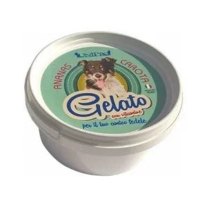 Gelato Ananas/Carote Unipro - 60g