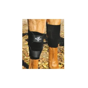 Ginocchiera cavallo Professional's Choice KB101
