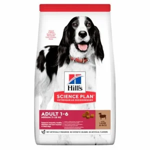 Hill's Cane Mantenimento Agnello e Riso