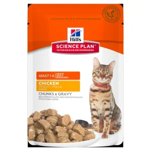 Hill's Cat Buste Mantenimento Pollo 12 x 85 g