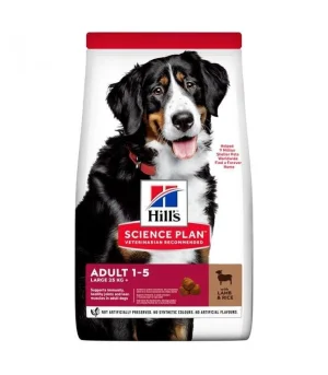 Hill's Science Plan Adult Large Breed Agnello e Riso 12 kg
