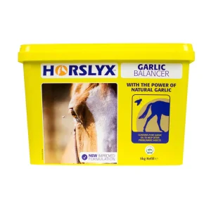 Horslyx Garlic 5 kg - integratore da leccare con aglio