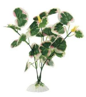 Hydrocotyle 20 Cm - Blu 9090 - Pianta In Seta
