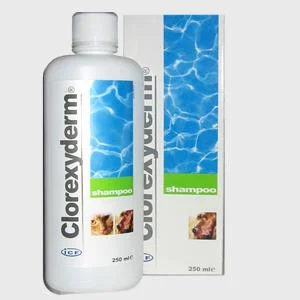 ICF Clorexyderm Shampoo 5 L per Cani e Gatti