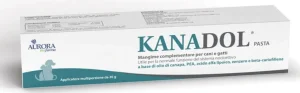 Kanadol Pasta Siringa 30g - Aurorabiofarma