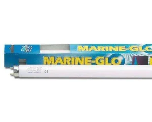 Lampada neon T8 per acquario Marine-Glo blu attinico Askoll
