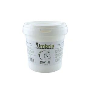 MSM 1.2 kg - Umbria Equitazione