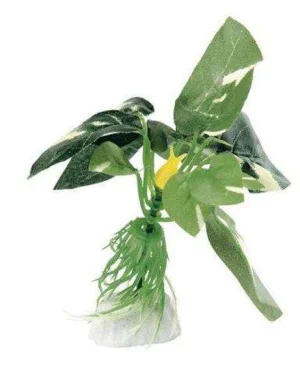 Pianta in seta per acquario Anubias 10 cm Blu 9089