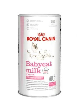 Royal Canin Babycat Milk Latte in Polvere Gattini 300 g + Biberon