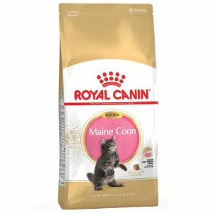 Royal Canin Maine Coon Kitten 2 kg