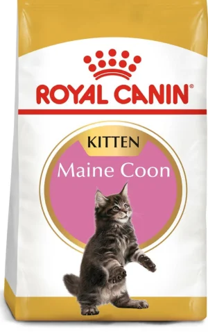 Royal Canin Kitten Maine Coon - Mangime secco per gattini