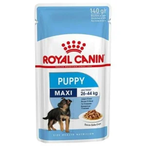 Royal Canin Maxi Puppy - Buste umido per cani cuccioli 10 x 140 g
