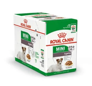 Royal Canin Mini Ageing 12+ Umido in salsa 12 x 85 g