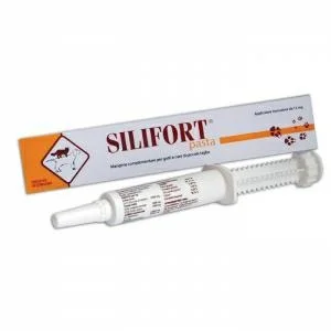 Silifort Pasta 15 g - Aurorabiofarma;Gainte
