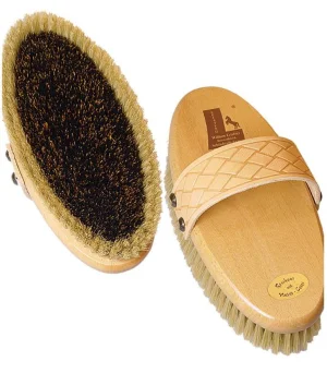 Spazzola Bilivello Fascia Basket Leistner
